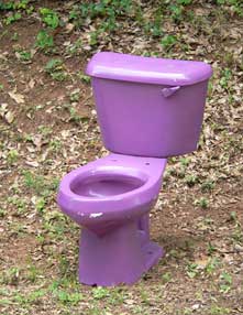 bigstockphoto_Purple_Toilet_398093.jpg