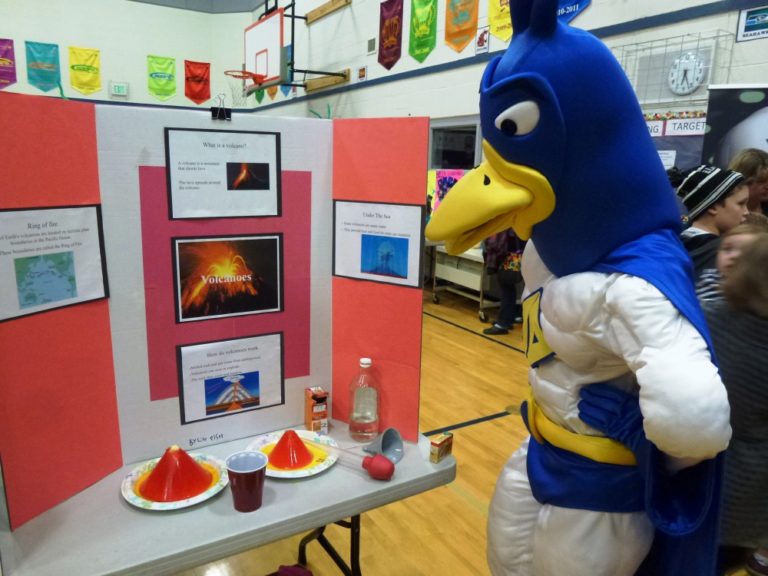 McDonald Elementary Science Fair 2/19/15