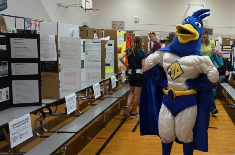 Chester Elementary Science Fair 5/6/16