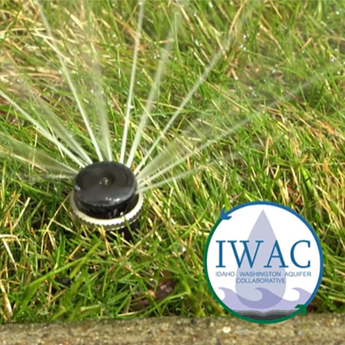 Make Your Irrigation System More Efficient