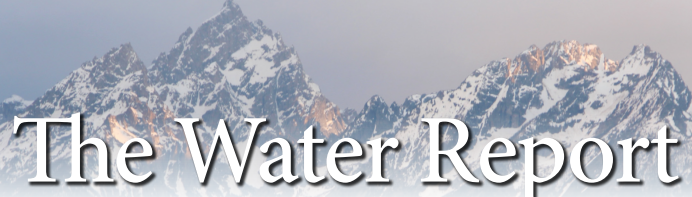 The Water Report #227