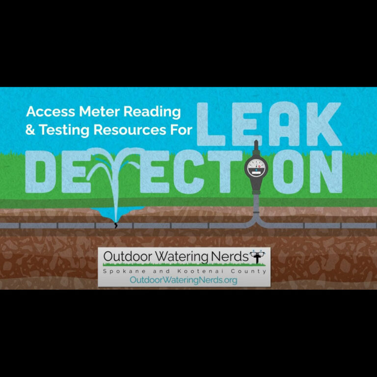 Leak Detection